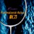 【FLEET】PROFESSIONAL RA...